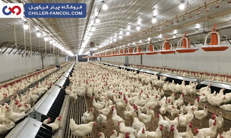 تنظیم دمای سالن جوجه کشی