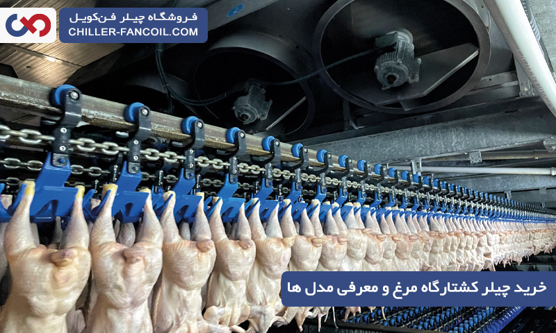 خرید چیلر کشتارگاه مرغ و معرفی بهترین مدل ها با بهترین قیمت