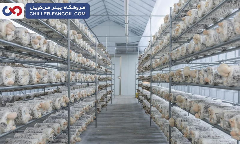 خرید چیلر پرورش قارچ 