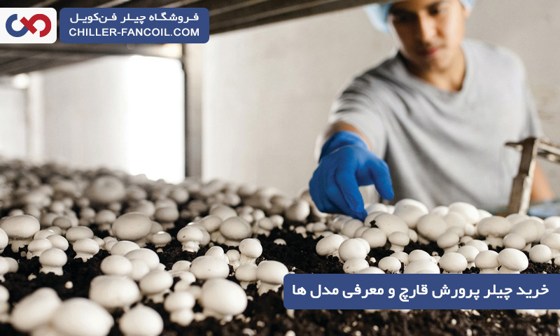 خرید چیلر پرورش قارچ و معرفی بهترین مدل ها با بهترین قیمت